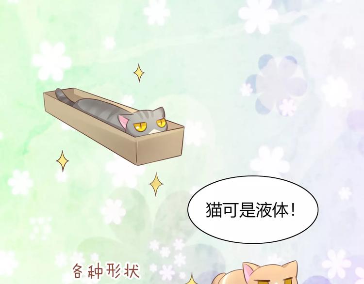 猫爪之下韩漫全集-第44话 女王属性？无删减无遮挡章节图片 