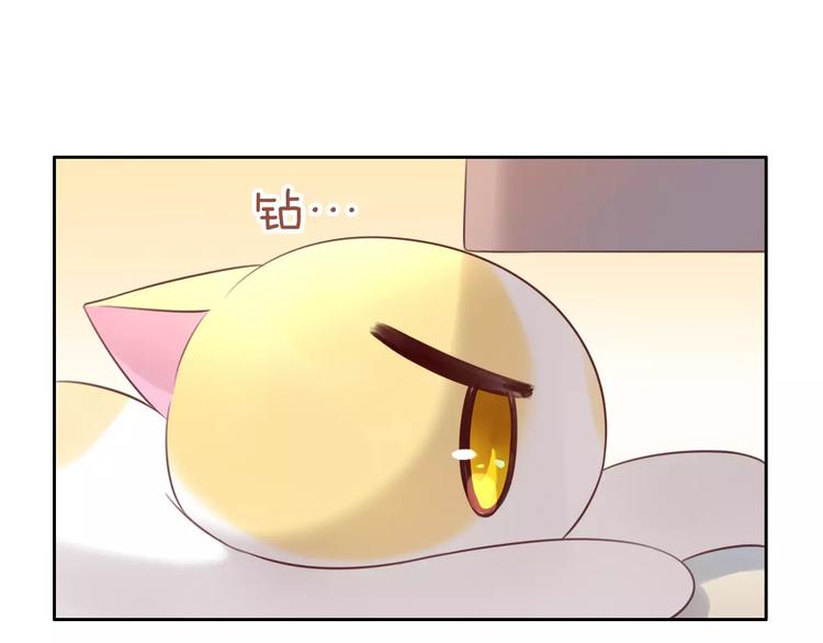 猫爪之下韩漫全集-第44话 女王属性？无删减无遮挡章节图片 