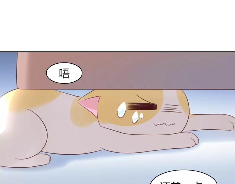 猫爪之下韩漫全集-第44话 女王属性？无删减无遮挡章节图片 