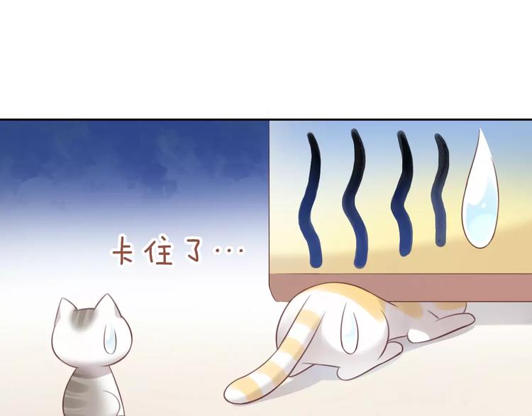 猫爪之下韩漫全集-第44话 女王属性？无删减无遮挡章节图片 