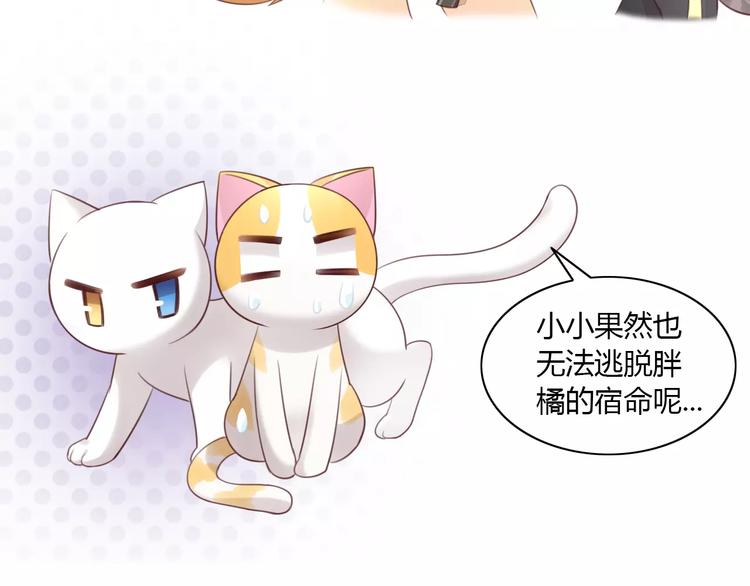 猫爪之下韩漫全集-第44话 女王属性？无删减无遮挡章节图片 