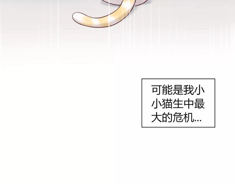 猫爪之下韩漫全集-第45话 爹爹？？无删减无遮挡章节图片 