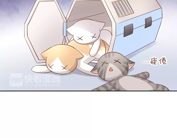 猫爪之下韩漫全集-第45话 爹爹？？无删减无遮挡章节图片 