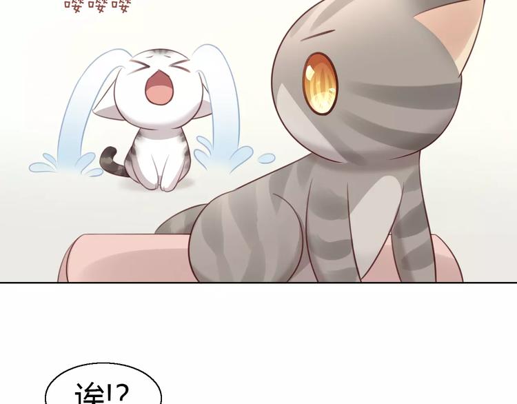 猫爪之下韩漫全集-第46话 突然的不舍！无删减无遮挡章节图片 