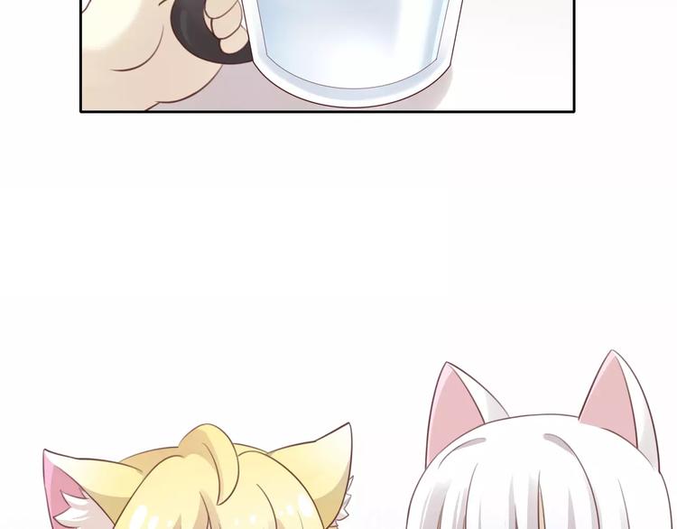 猫爪之下韩漫全集-第47话 小可爱被送走了无删减无遮挡章节图片 