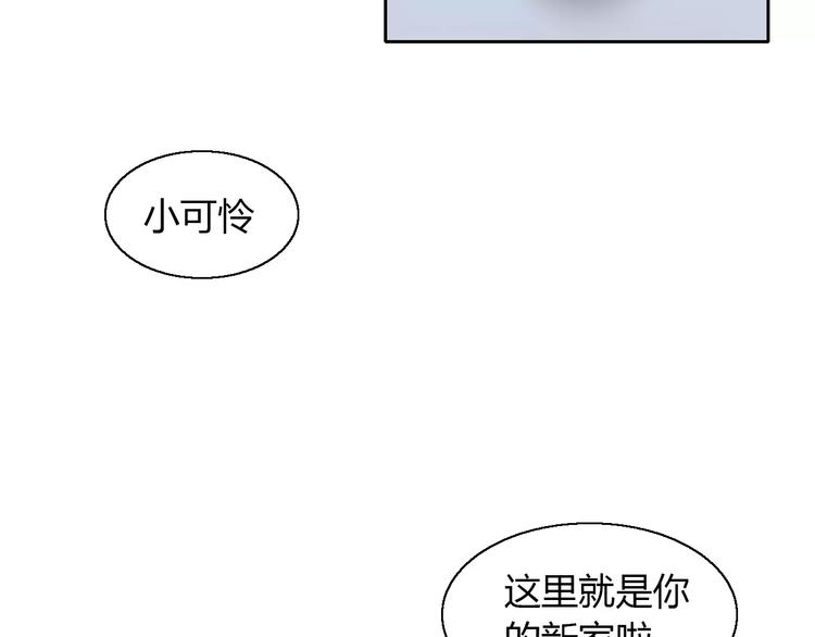 猫爪之下韩漫全集-第47话 小可爱被送走了无删减无遮挡章节图片 