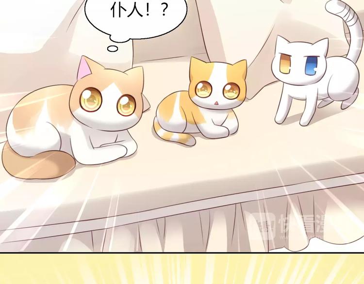猫爪之下韩漫全集-第47话 小可爱被送走了无删减无遮挡章节图片 