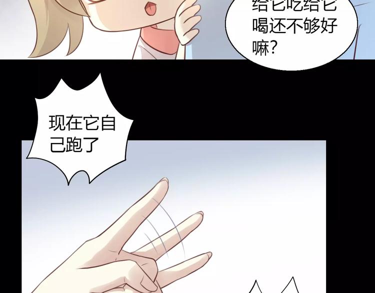 猫爪之下韩漫全集-第48话 一定要找到你！无删减无遮挡章节图片 