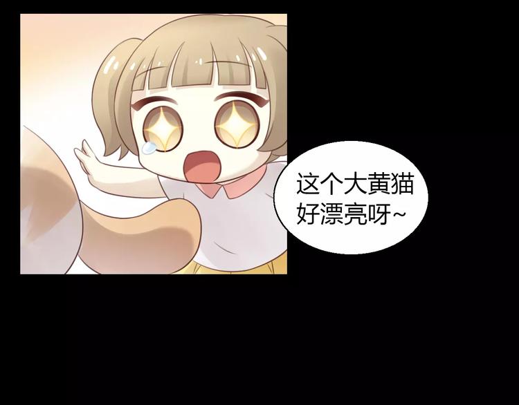 猫爪之下韩漫全集-第48话 一定要找到你！无删减无遮挡章节图片 