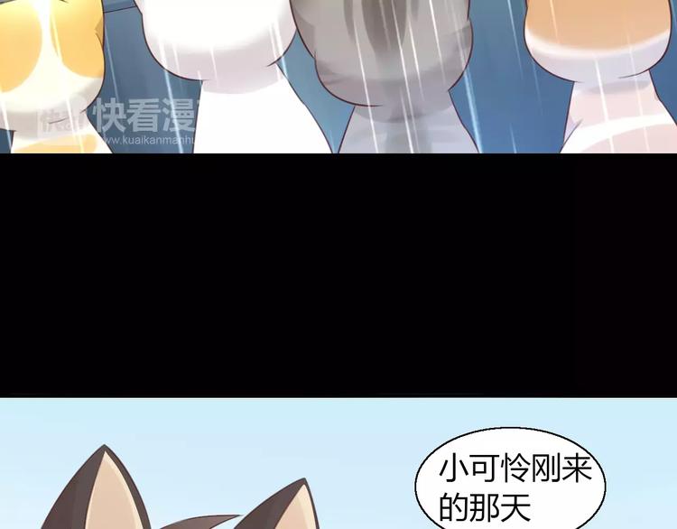 猫爪之下韩漫全集-第48话 一定要找到你！无删减无遮挡章节图片 