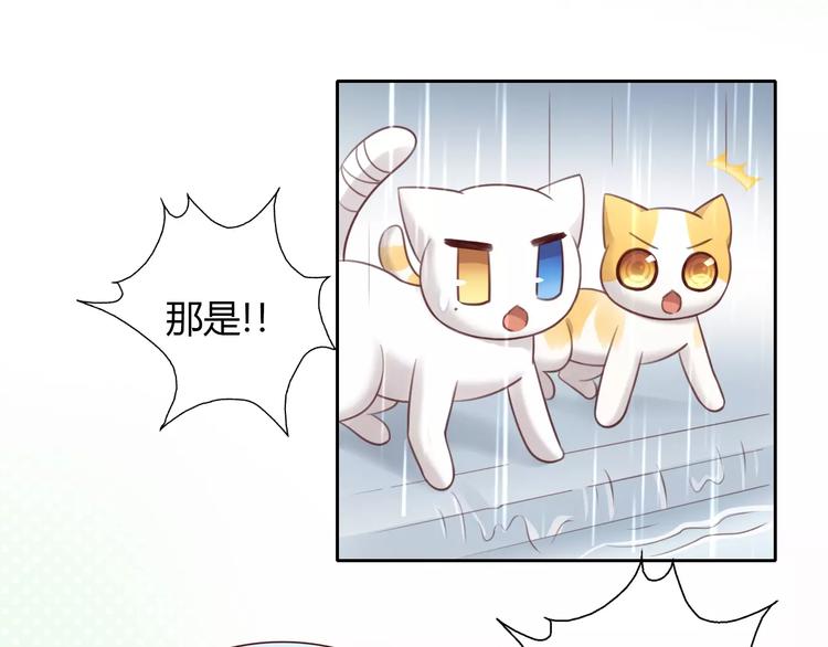 猫爪之下韩漫全集-第48话 一定要找到你！无删减无遮挡章节图片 