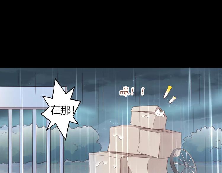猫爪之下韩漫全集-第48话 一定要找到你！无删减无遮挡章节图片 