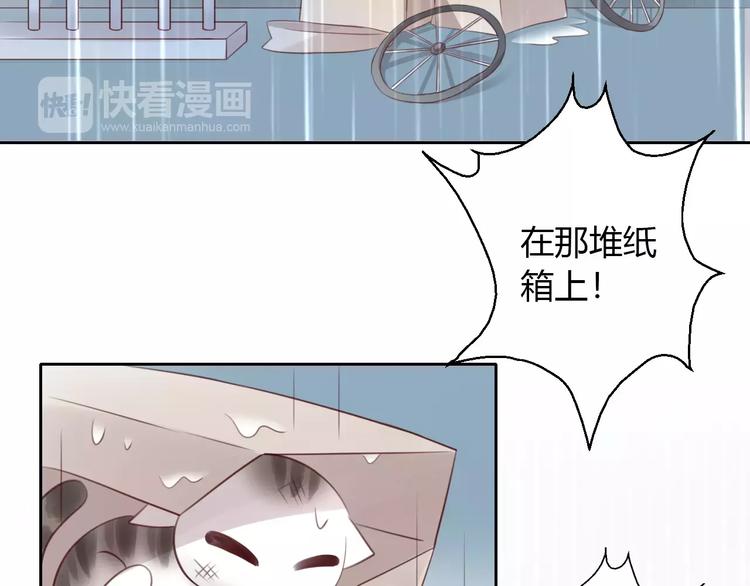 猫爪之下韩漫全集-第48话 一定要找到你！无删减无遮挡章节图片 