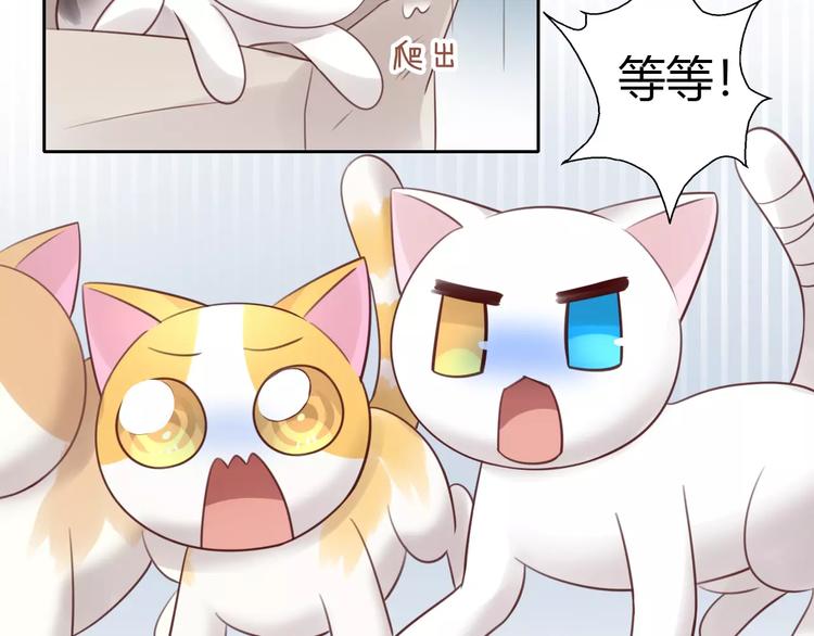 猫爪之下韩漫全集-第48话 一定要找到你！无删减无遮挡章节图片 