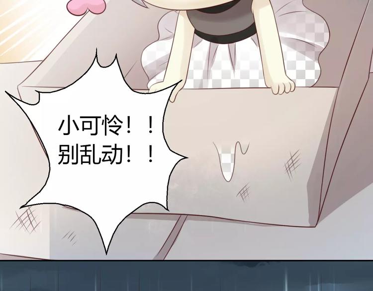 猫爪之下韩漫全集-第48话 一定要找到你！无删减无遮挡章节图片 