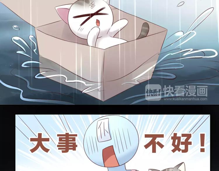 猫爪之下韩漫全集-第48话 一定要找到你！无删减无遮挡章节图片 