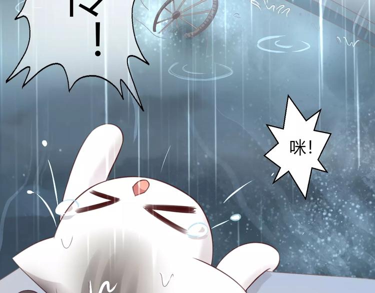 猫爪之下韩漫全集-第48话 一定要找到你！无删减无遮挡章节图片 
