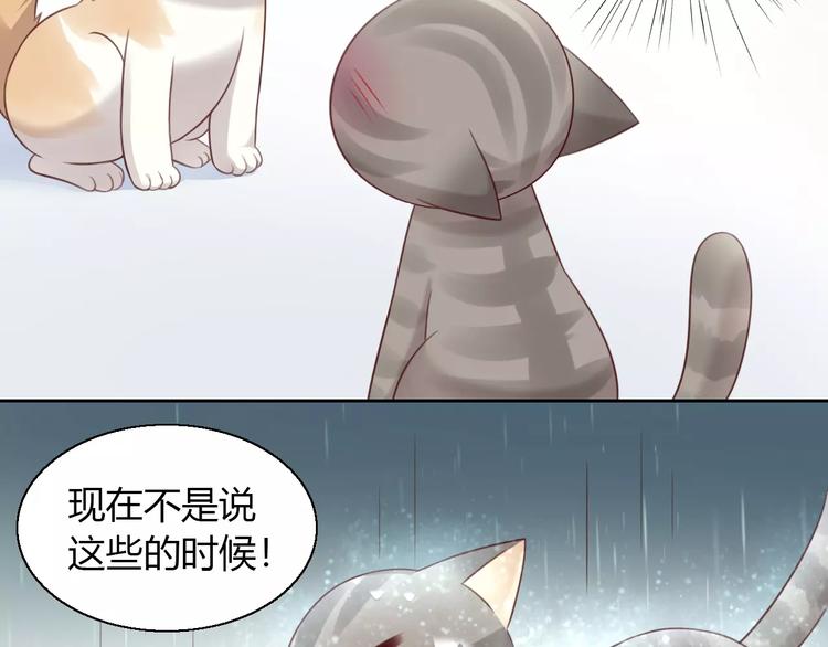 猫爪之下韩漫全集-第49话 我们是一家人啊无删减无遮挡章节图片 