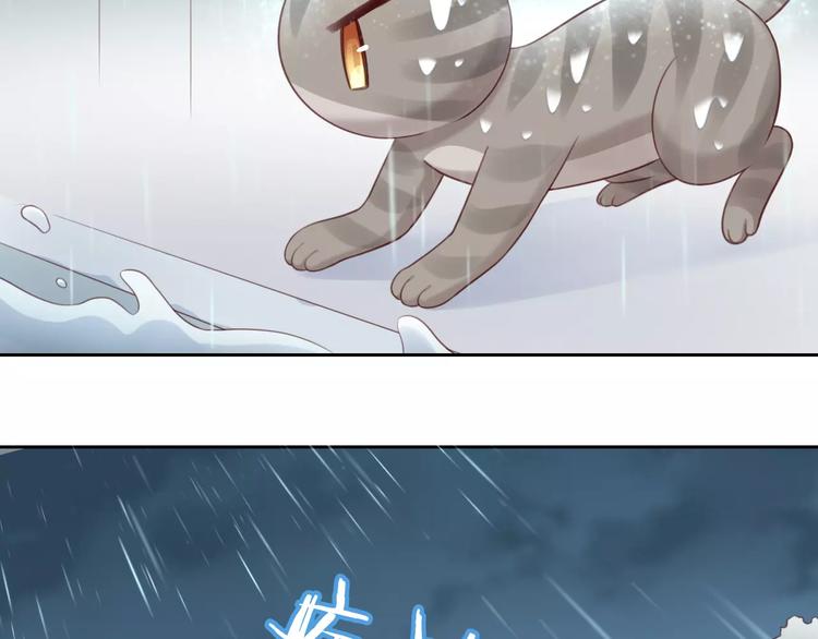 猫爪之下韩漫全集-第49话 我们是一家人啊无删减无遮挡章节图片 