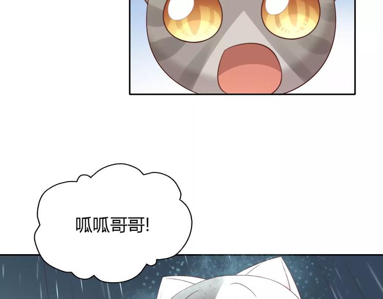 猫爪之下韩漫全集-第49话 我们是一家人啊无删减无遮挡章节图片 
