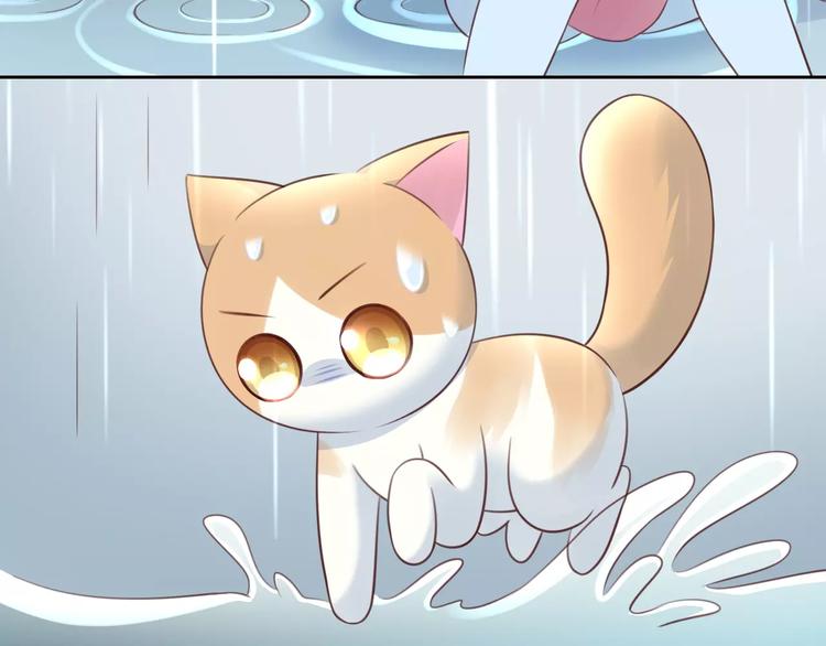 猫爪之下韩漫全集-第49话 我们是一家人啊无删减无遮挡章节图片 
