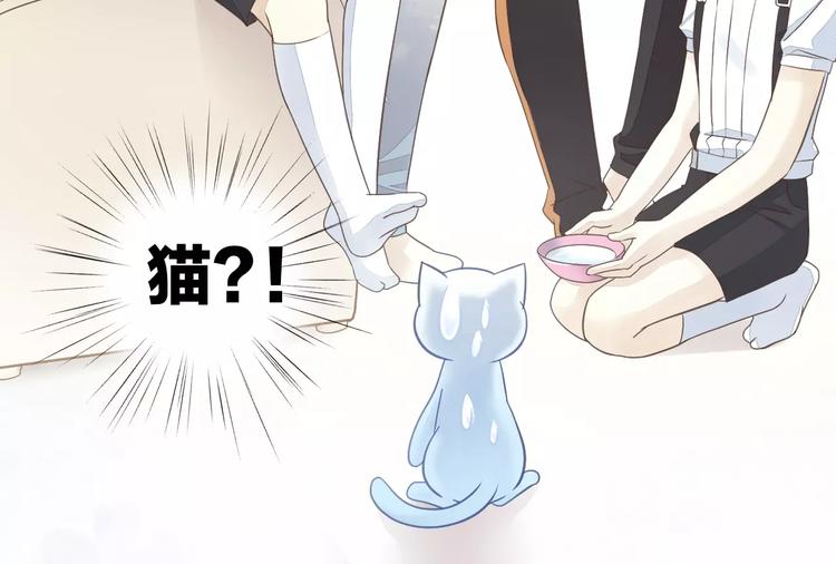 猫爪之下韩漫全集-第50话 互换身体！？无删减无遮挡章节图片 