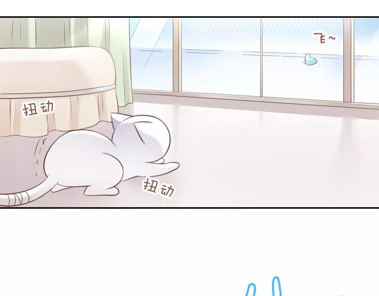猫爪之下韩漫全集-第50话 互换身体！？无删减无遮挡章节图片 