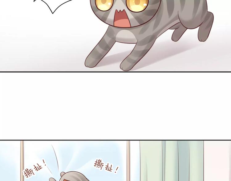 猫爪之下韩漫全集-第50话 互换身体！？无删减无遮挡章节图片 