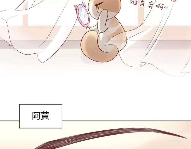 猫爪之下韩漫全集-第50话 互换身体！？无删减无遮挡章节图片 