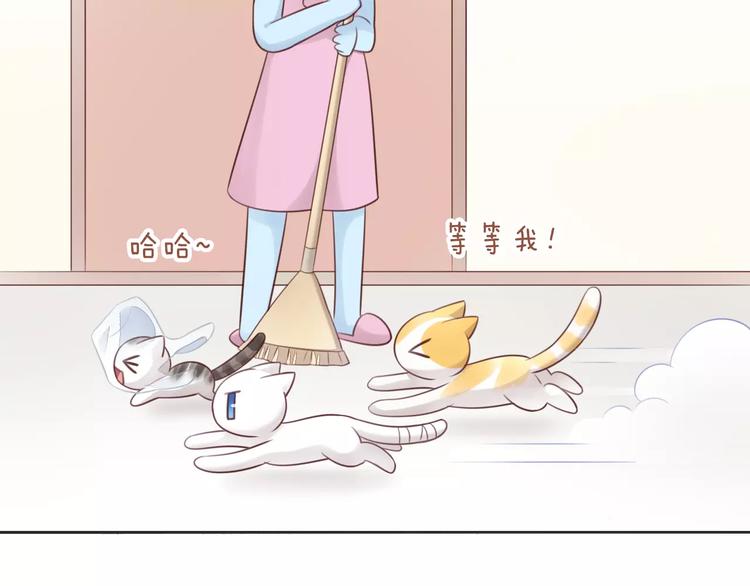猫爪之下韩漫全集-第50话 互换身体！？无删减无遮挡章节图片 