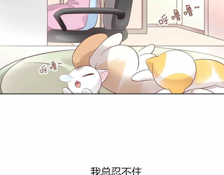 猫爪之下韩漫全集-第50话 互换身体！？无删减无遮挡章节图片 