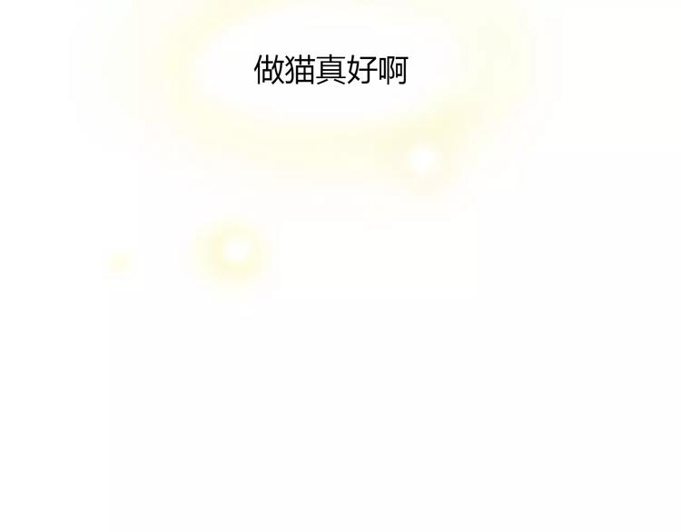 猫爪之下韩漫全集-第50话 互换身体！？无删减无遮挡章节图片 