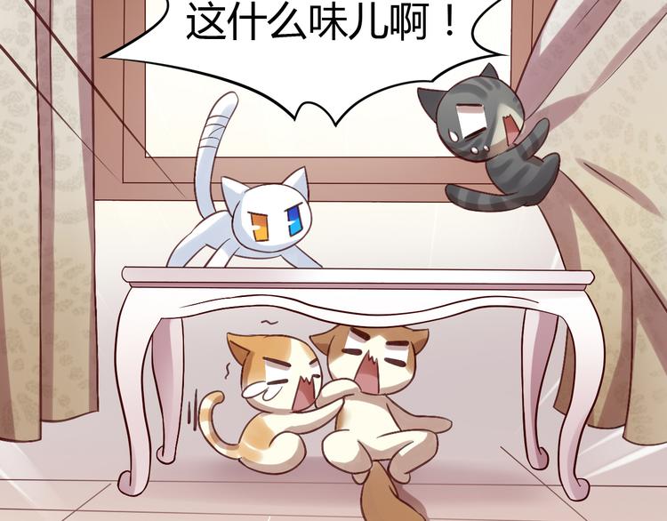 猫爪之下韩漫全集-第6话  吃辣条的代价无删减无遮挡章节图片 