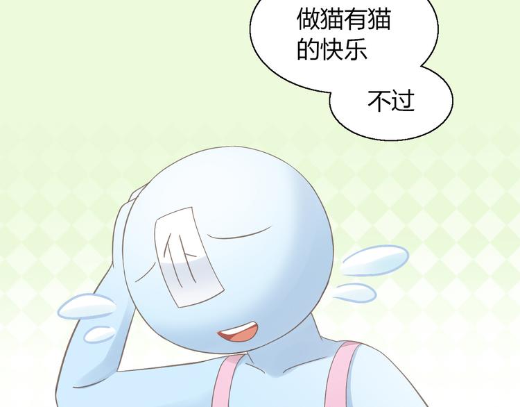 猫爪之下韩漫全集-第51话 人猫大互换？无删减无遮挡章节图片 