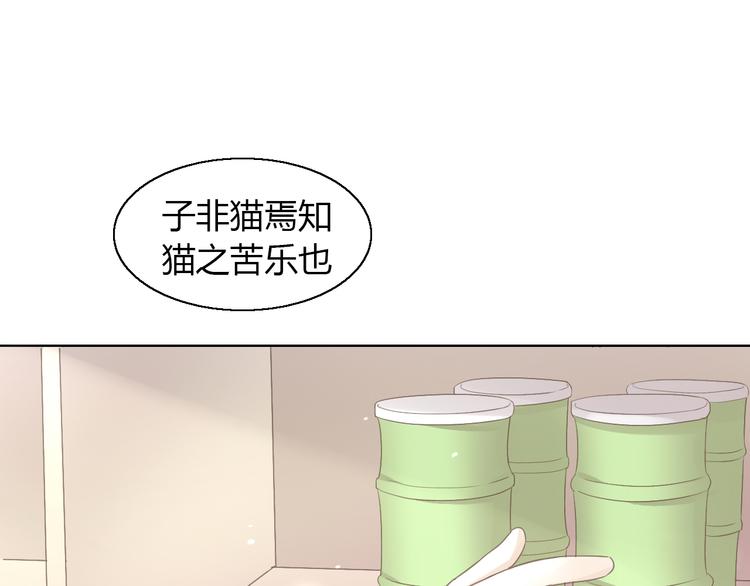 猫爪之下韩漫全集-第51话 人猫大互换？无删减无遮挡章节图片 
