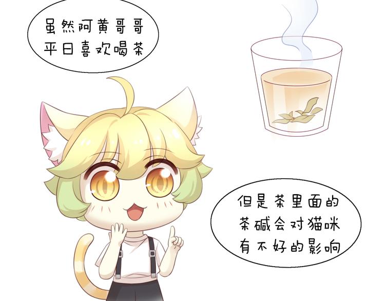 猫爪之下韩漫全集-第51话 人猫大互换？无删减无遮挡章节图片 