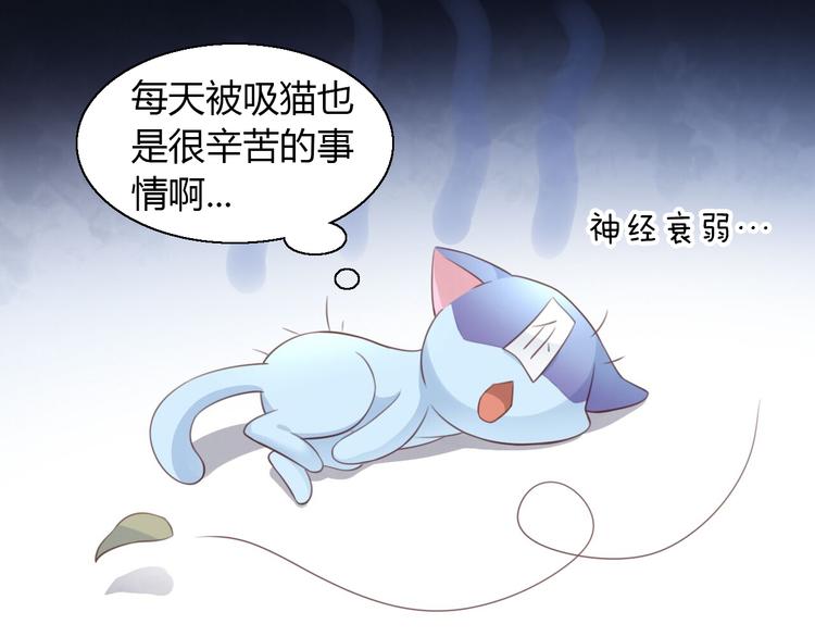 猫爪之下韩漫全集-第51话 人猫大互换？无删减无遮挡章节图片 