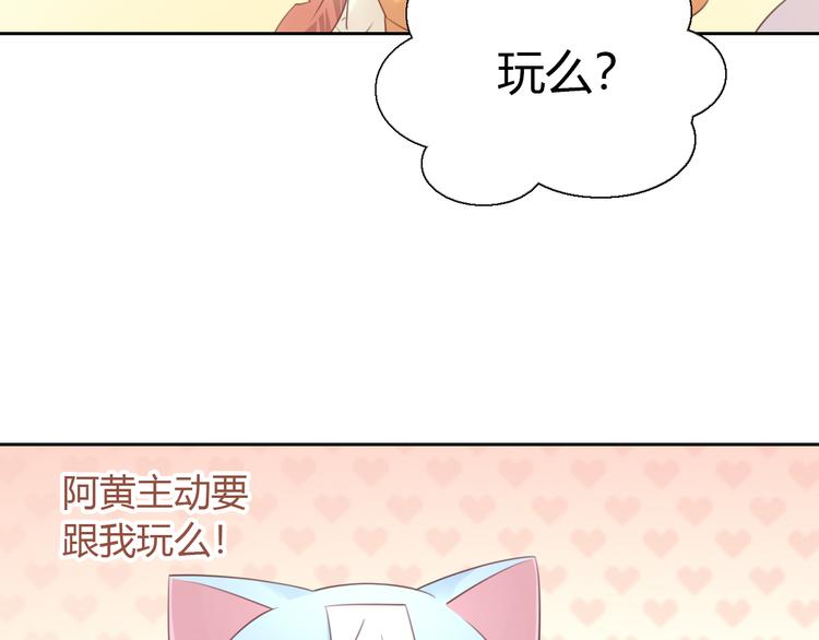 猫爪之下韩漫全集-第51话 人猫大互换？无删减无遮挡章节图片 