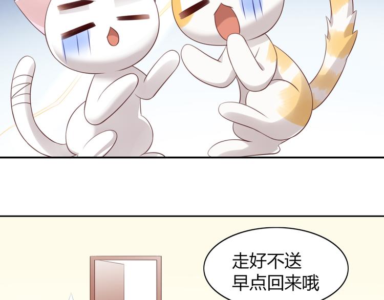猫爪之下韩漫全集-第53话 新主人出现！无删减无遮挡章节图片 