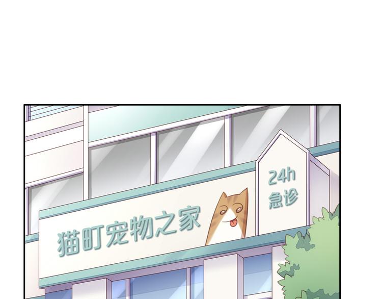 猫爪之下韩漫全集-第53话 新主人出现！无删减无遮挡章节图片 