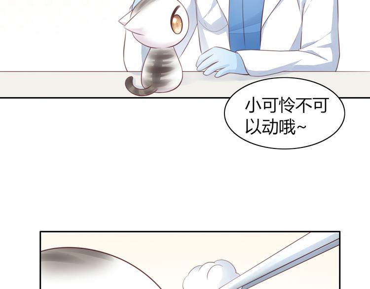 猫爪之下韩漫全集-第53话 新主人出现！无删减无遮挡章节图片 