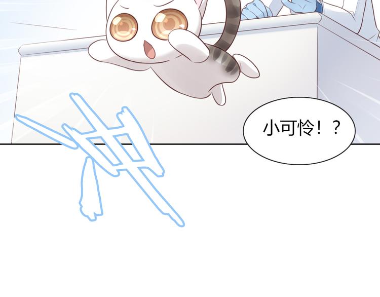 猫爪之下韩漫全集-第53话 新主人出现！无删减无遮挡章节图片 