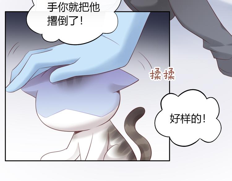 猫爪之下韩漫全集-第53话 新主人出现！无删减无遮挡章节图片 