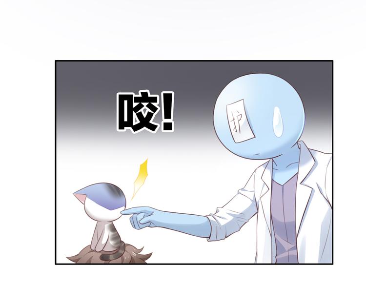猫爪之下韩漫全集-第53话 新主人出现！无删减无遮挡章节图片 