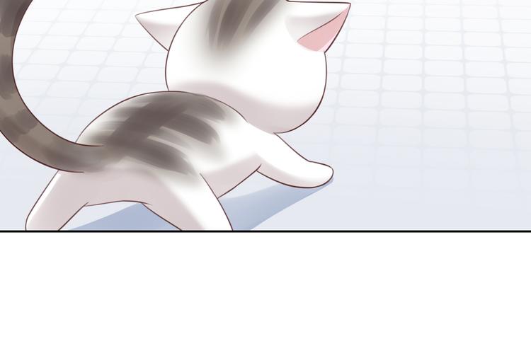 猫爪之下韩漫全集-第53话 新主人出现！无删减无遮挡章节图片 