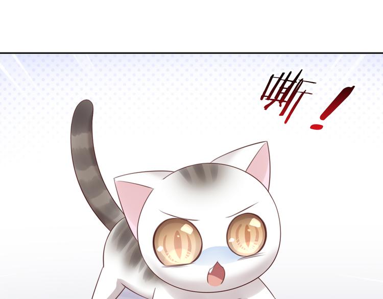 猫爪之下韩漫全集-第53话 新主人出现！无删减无遮挡章节图片 