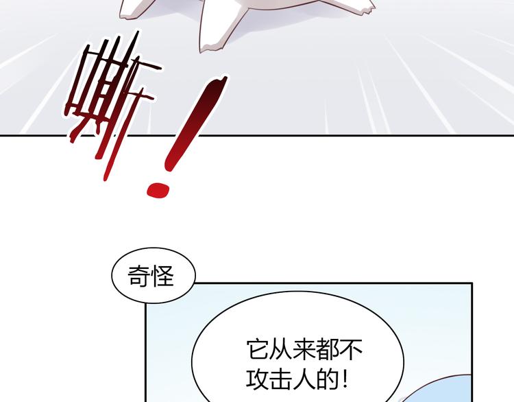 猫爪之下韩漫全集-第53话 新主人出现！无删减无遮挡章节图片 