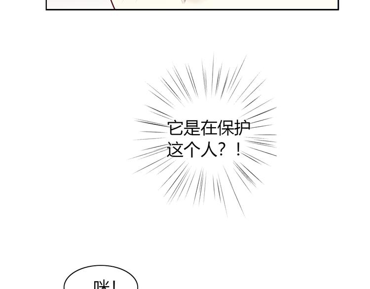 猫爪之下韩漫全集-第53话 新主人出现！无删减无遮挡章节图片 