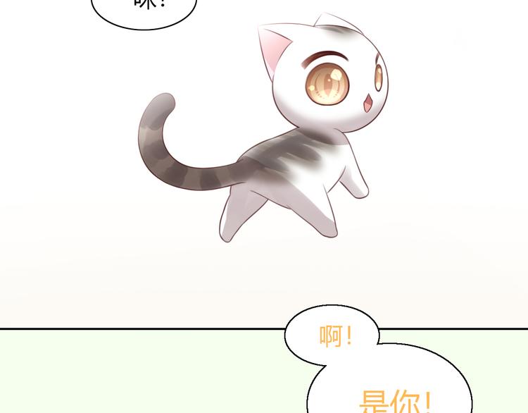 猫爪之下韩漫全集-第53话 新主人出现！无删减无遮挡章节图片 