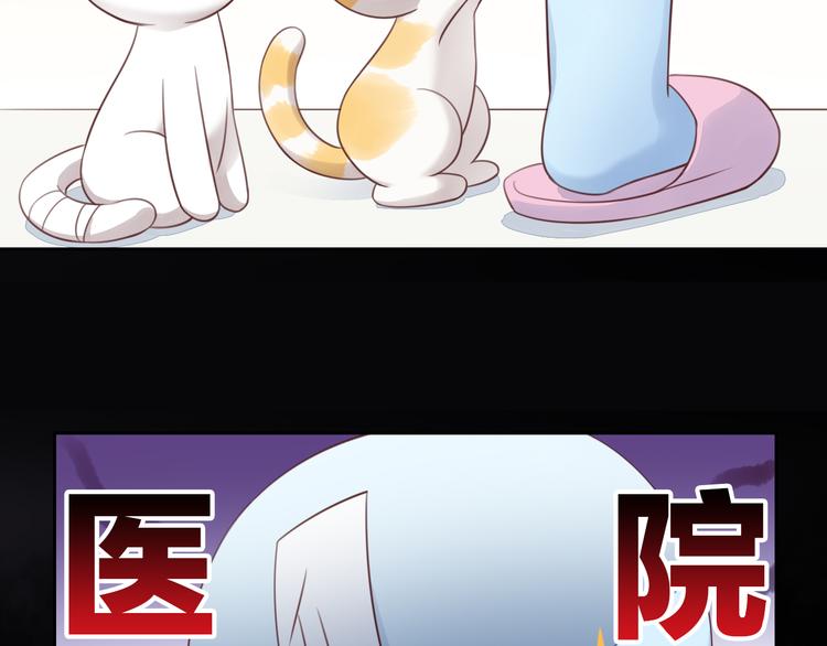 猫爪之下韩漫全集-第53话 新主人出现！无删减无遮挡章节图片 